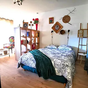 https://studio-carrire.midi-pyreneeshotels.com